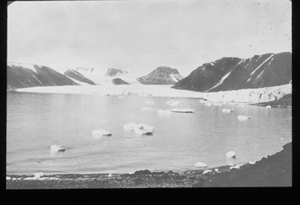 Image of Distant glacier, floes in foreground